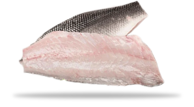 Frozen Sea Bass Fillet