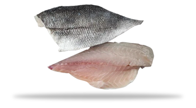 Frozen Sea Bream Fillet