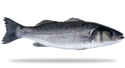 Frozen Sea Bass